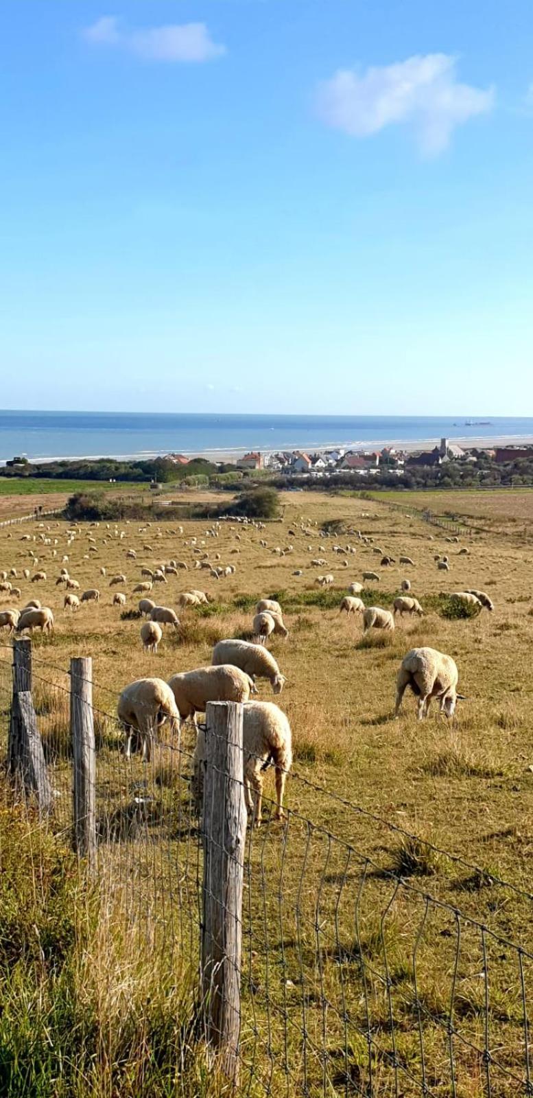 Au Kaycedra Lägenhet Calais Exteriör bild