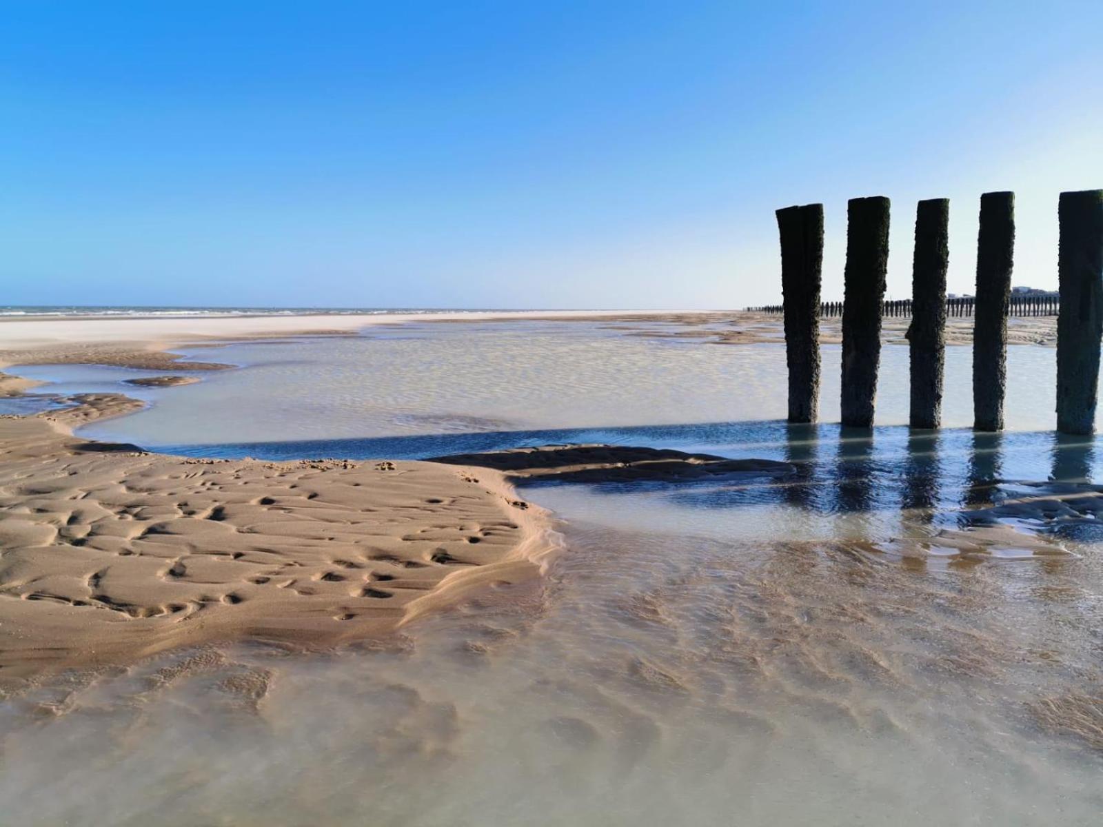 Au Kaycedra Lägenhet Calais Exteriör bild